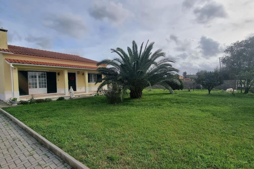 Quinta Marinhais Para Ferias No Ribatejo Exterior foto