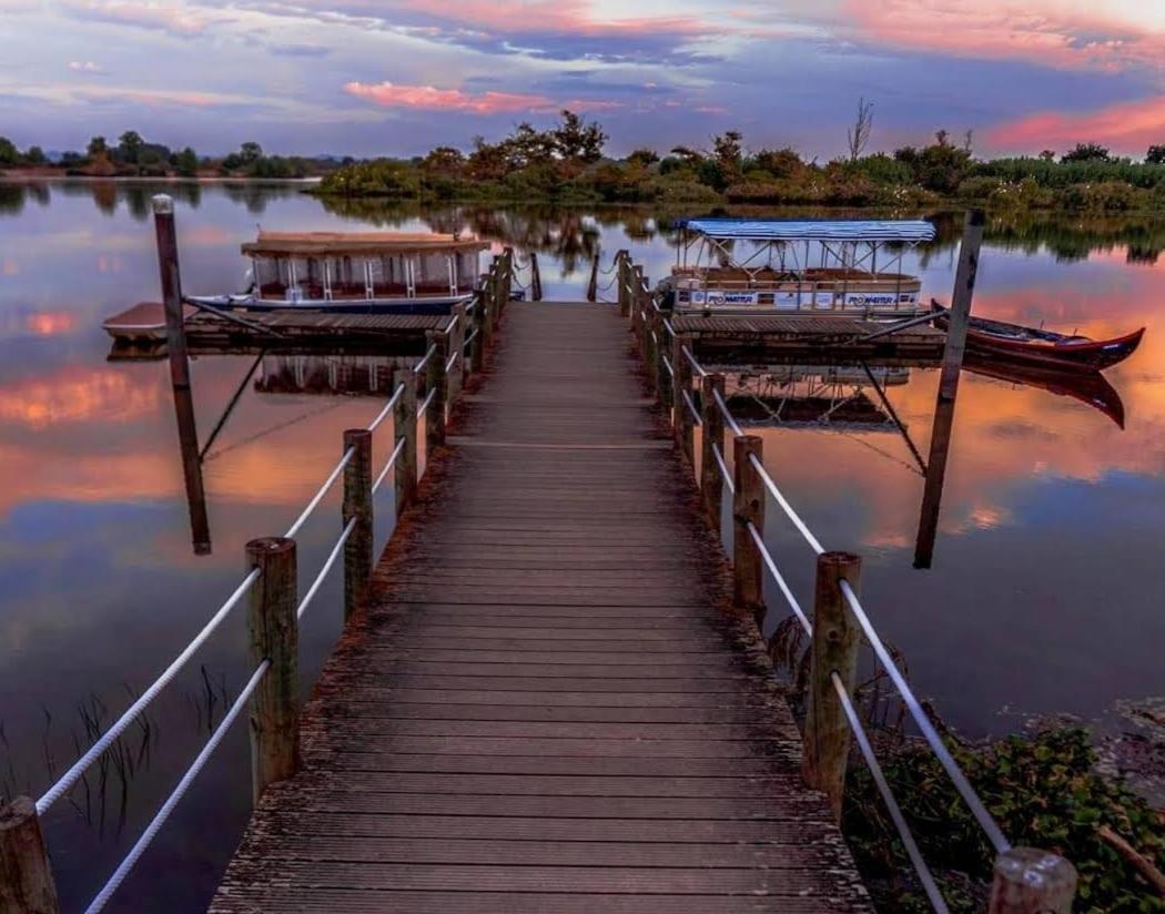 Quinta Marinhais Para Ferias No Ribatejo Exterior foto