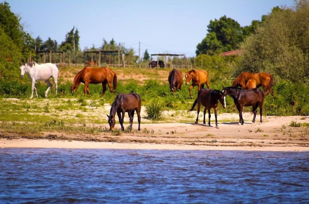 Quinta Marinhais Para Ferias No Ribatejo Exterior foto