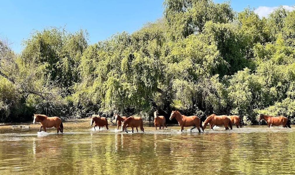 Quinta Marinhais Para Ferias No Ribatejo Exterior foto